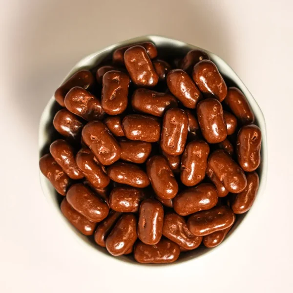 GALLETA CUBIERTA DE CHOCOLATE PREMIUM